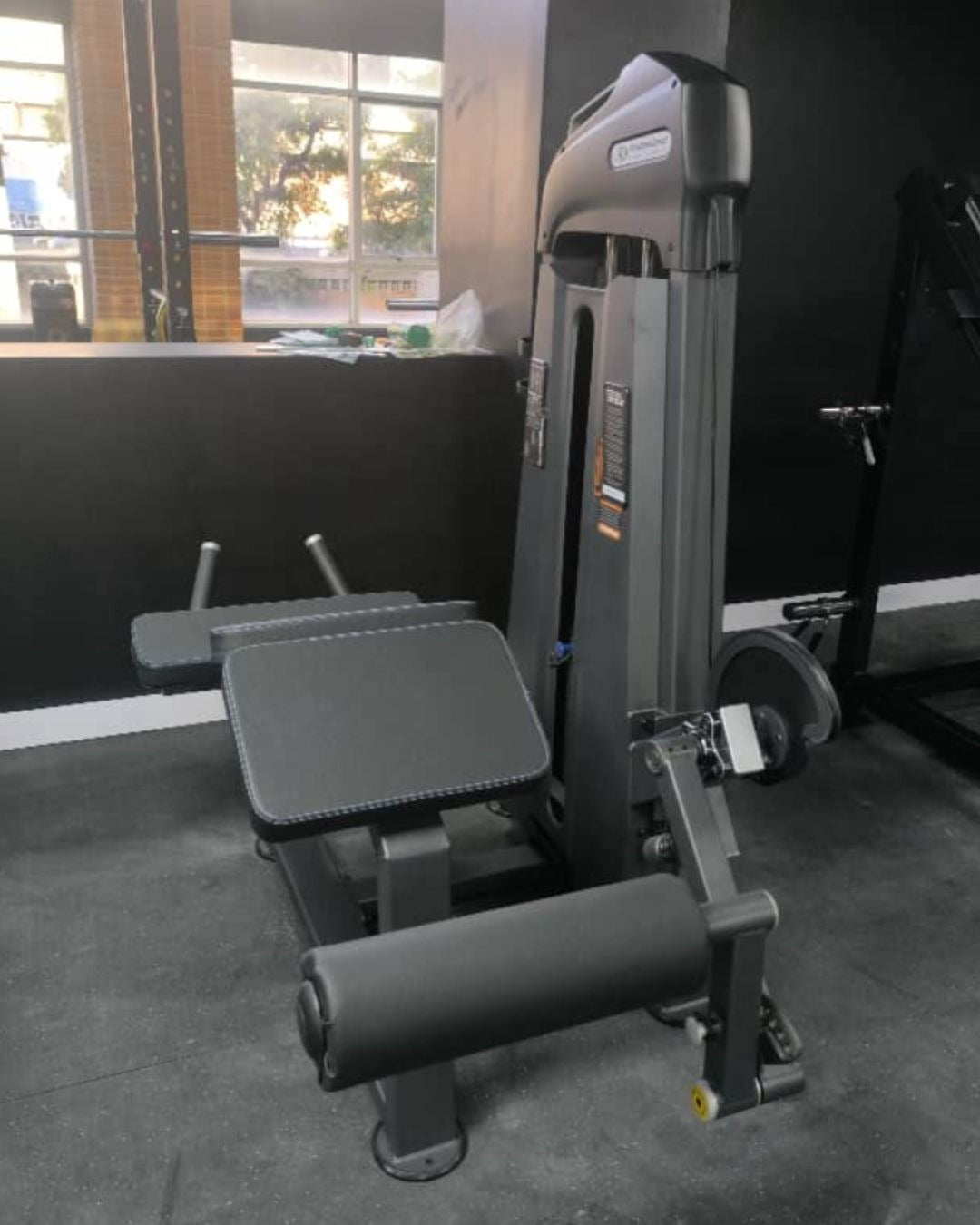 MÁQUINA PROFESIONAL FITNESS DE CURL DE PIERNA RADICAL KRX3001