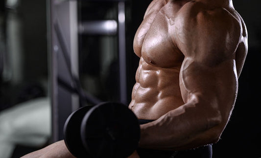 ABDOMINALES DE HIRRO