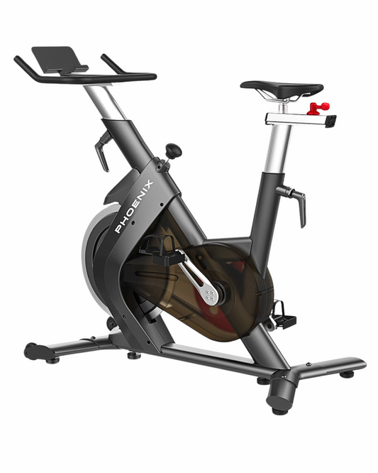 BICICLETA PROFESIONAL DE SPINNING
