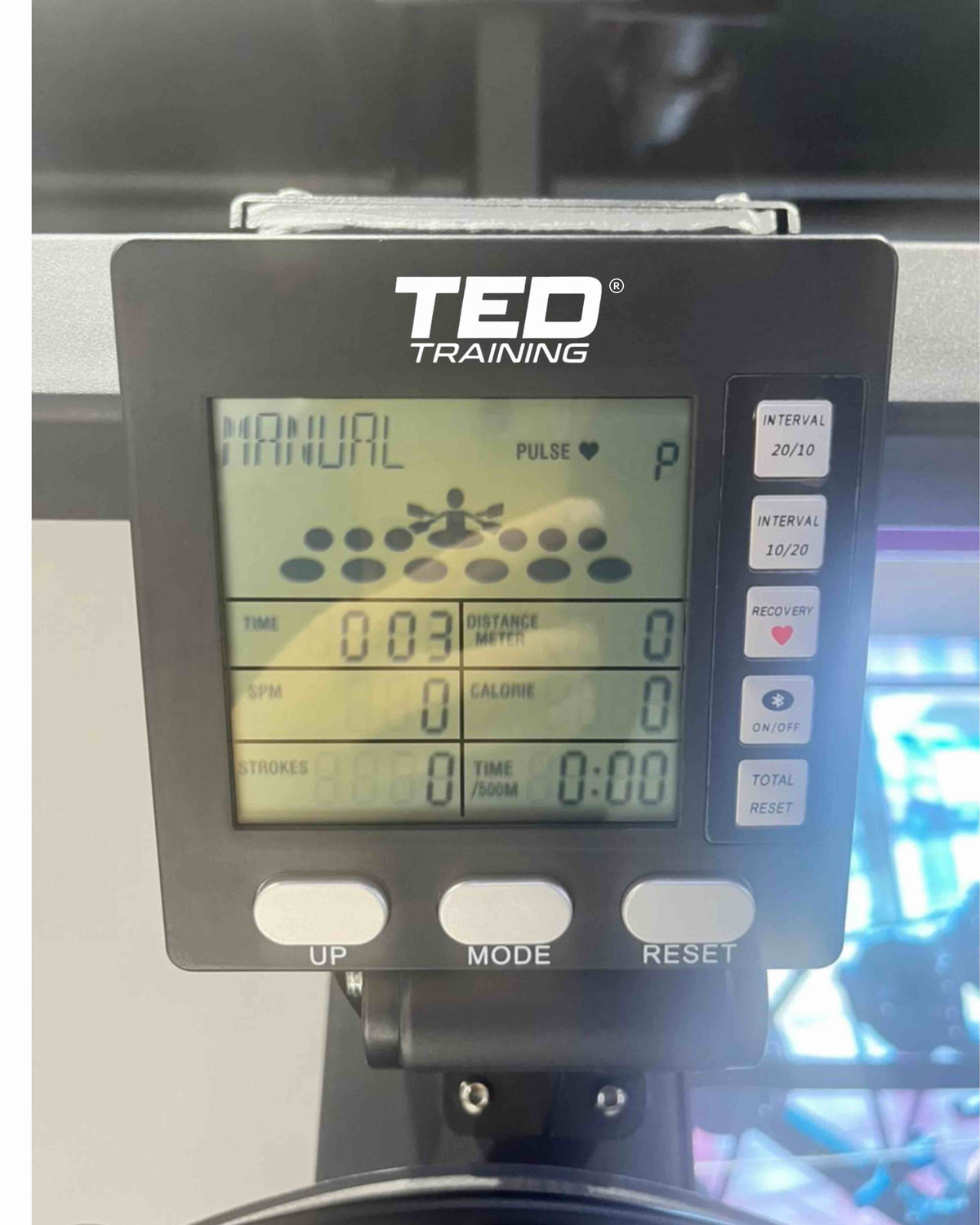 SKIERG TED TRAINING DE ENTRENAMIENTO RACK